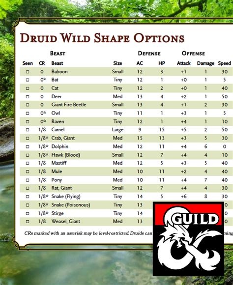 druid wild shape options